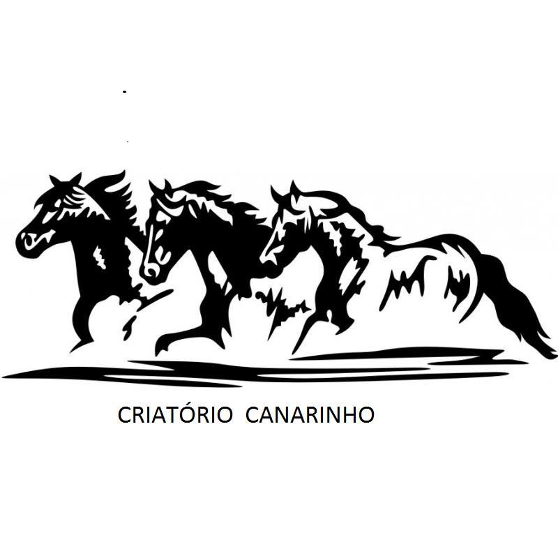 criatorio canarinho