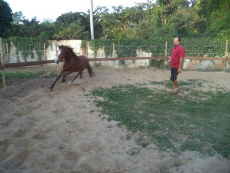 NILTON TEIXEIRA DE SOUSA JUNIOR