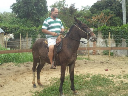 CANARIO DO CANARINHO