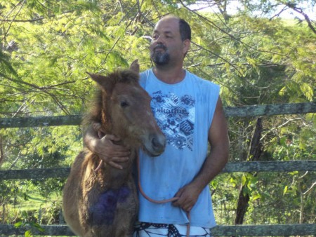 PRINCESA DO CANARINHO